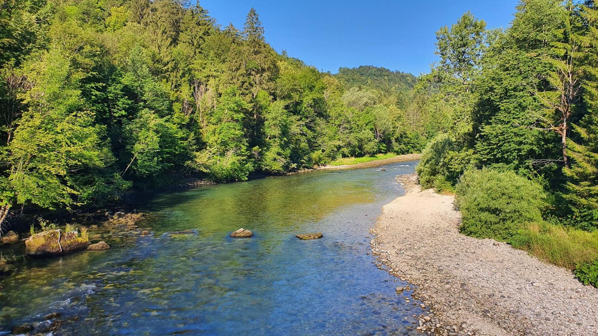 Eco River Camp - Pitches Radovljica Bagian luar foto